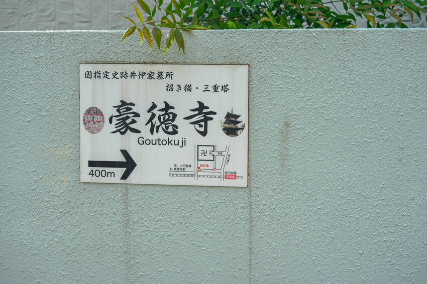 豪德寺 東京景點 日本三大招財貓神社之一 帶隻貓兒回家吧！