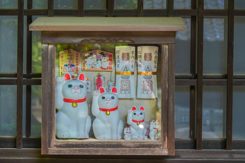 豪德寺 東京景點 日本三大招財貓神社之一 帶隻貓兒回家吧！