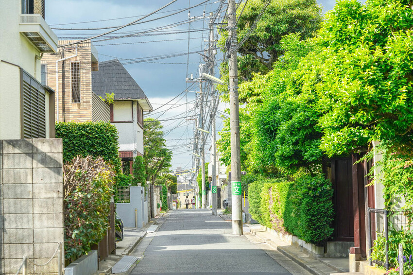 豪德寺 東京景點 日本三大招財貓神社之一 帶隻貓兒回家吧！