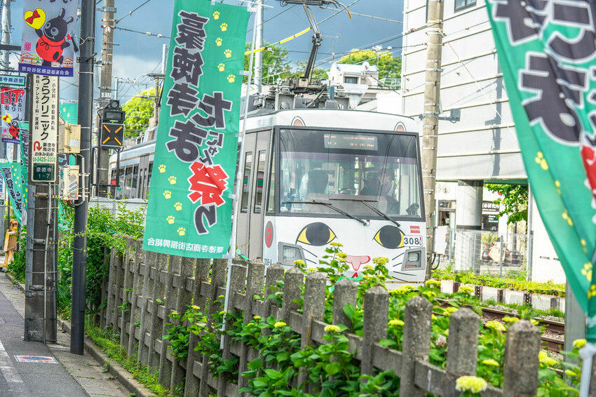 豪德寺 東京景點 日本三大招財貓神社之一 帶隻貓兒回家吧！