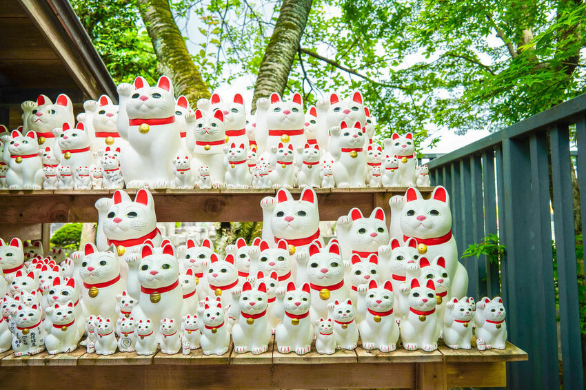 豪德寺 東京景點 日本三大招財貓神社之一 帶隻貓兒回家吧！