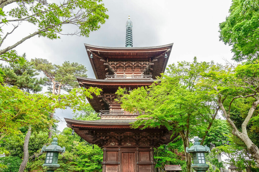 豪德寺 東京景點 日本三大招財貓神社之一 帶隻貓兒回家吧！