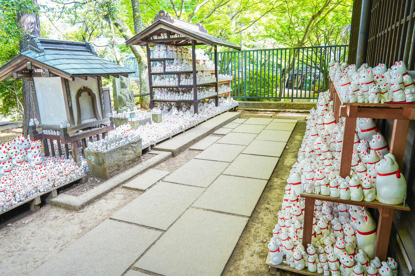 豪德寺 東京景點 日本三大招財貓神社之一 帶隻貓兒回家吧！