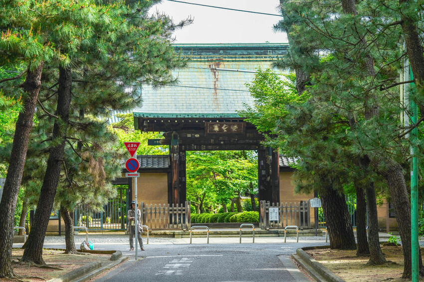 豪德寺 東京景點 日本三大招財貓神社之一 帶隻貓兒回家吧！