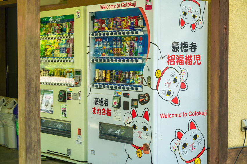豪德寺 東京景點 日本三大招財貓神社之一 帶隻貓兒回家吧！