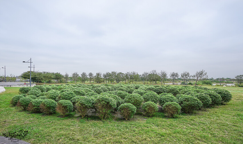 嘉義景點|國立故宮博物院南部院區:蒜頭糖廠五分車進站「故宮南院」,免費兒童創意中心、戶外大滑梯沙坑戲水區 @緹雅瑪 美食旅遊趣