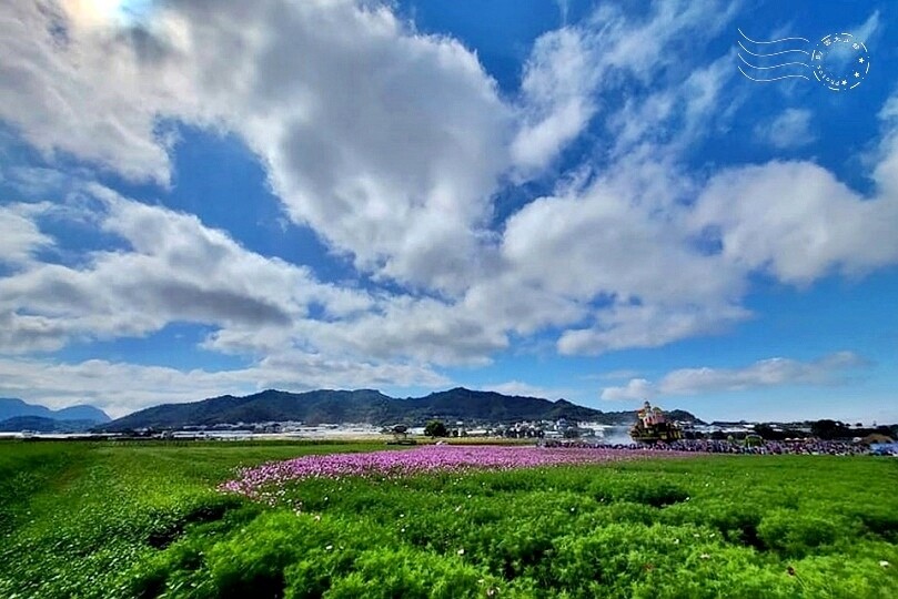 【2023臺中國際花毯節】:愛你愛山,璀璨重綻,全台最大規模,新社花海