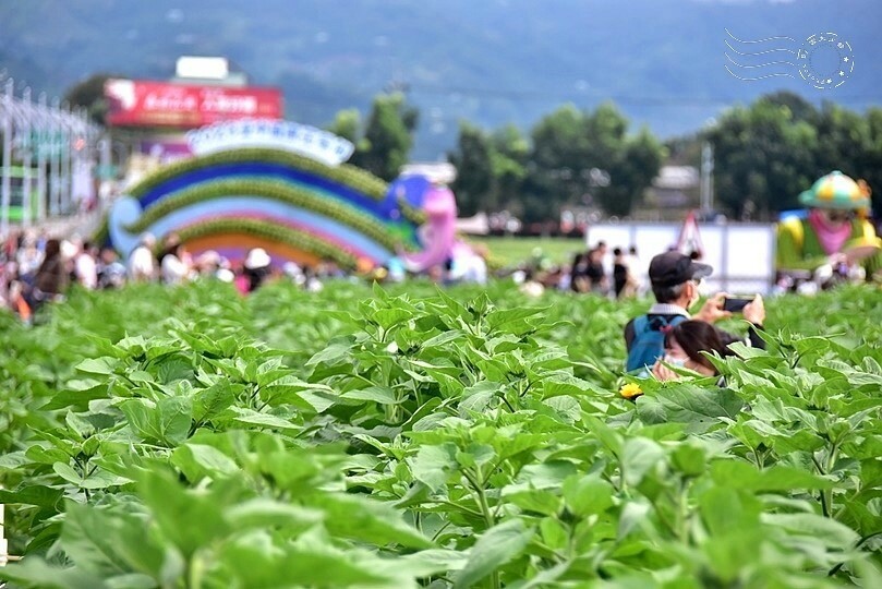 【2023臺中國際花毯節】:愛你愛山,璀璨重綻,全台最大規模,新社花海