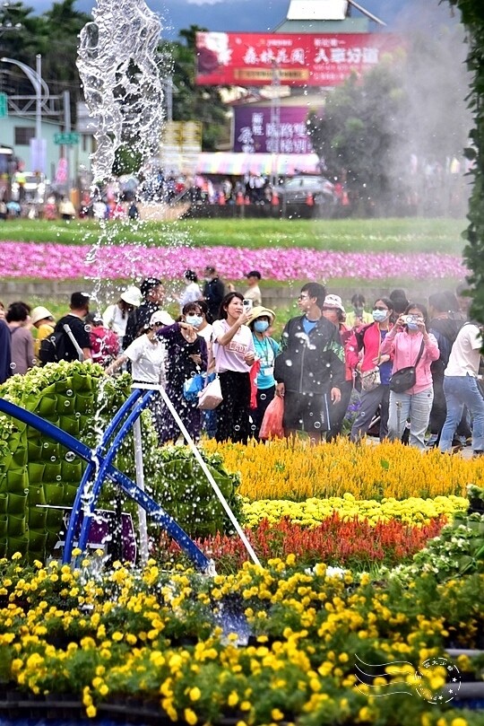 【2023臺中國際花毯節】:愛你愛山,璀璨重綻,全台最大規模,新社花海