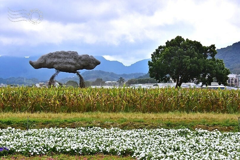 【2023臺中國際花毯節】:愛你愛山,璀璨重綻,全台最大規模,新社花海