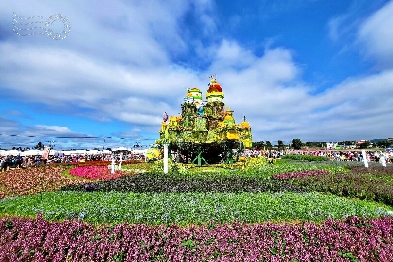 【2023臺中國際花毯節】:愛你愛山,璀璨重綻,全台最大規模,新社花海