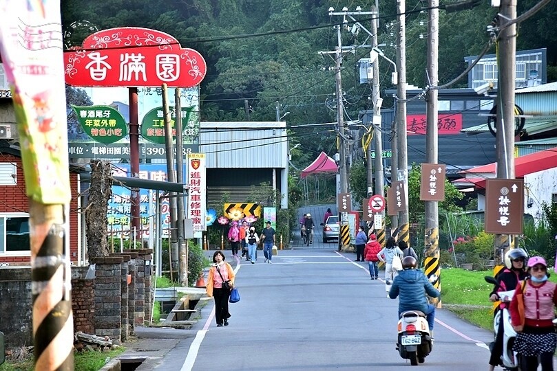 2023桃園花彩節:6萬坪花舞童話,超浪漫漸層彩虹花海