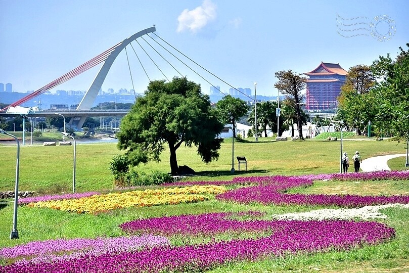 2023美堤河濱公園花海：親水灣圓仔花特色花海，怎麼拍怎麼美！