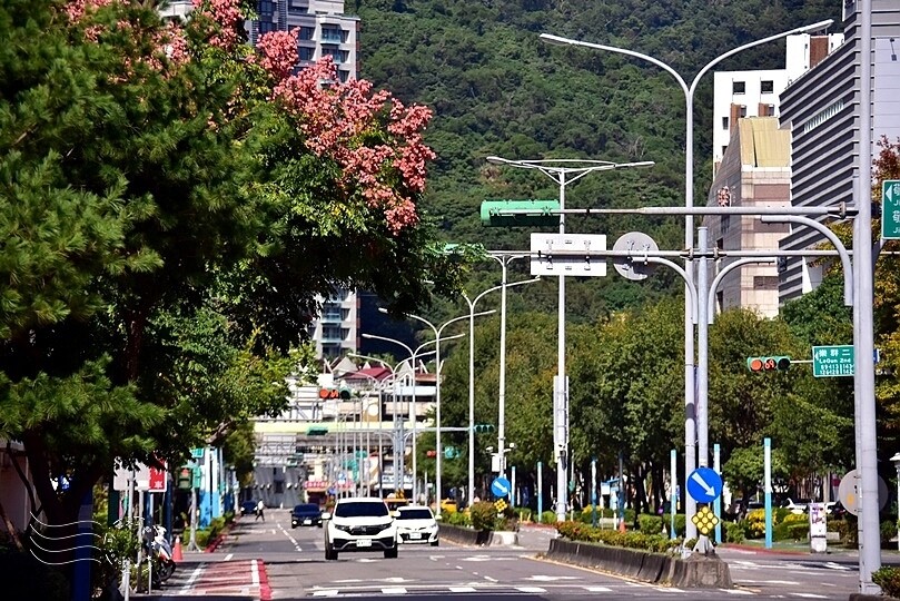 2023美堤河濱公園花海：親水灣圓仔花特色花海，怎麼拍怎麼美！