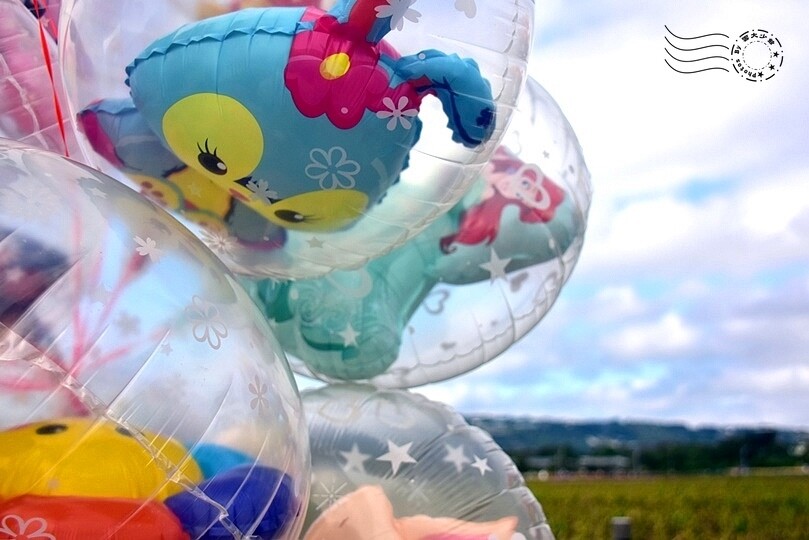 【2023臺中國際花毯節】:愛你愛山,璀璨重綻,全台最大規模,新社花海