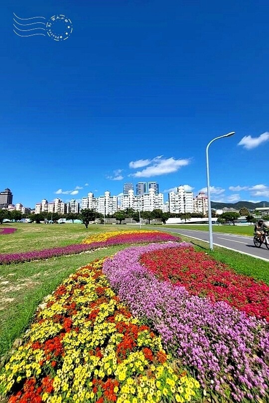 2023美堤河濱公園花海：親水灣圓仔花特色花海，怎麼拍怎麼美！