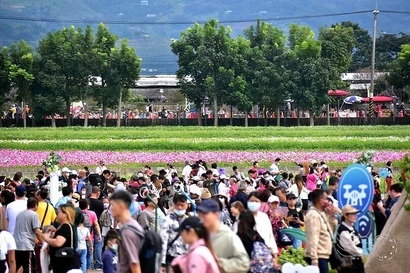 【2023臺中國際花毯節】:愛你愛山,璀璨重綻,全台最大規模,新社花海