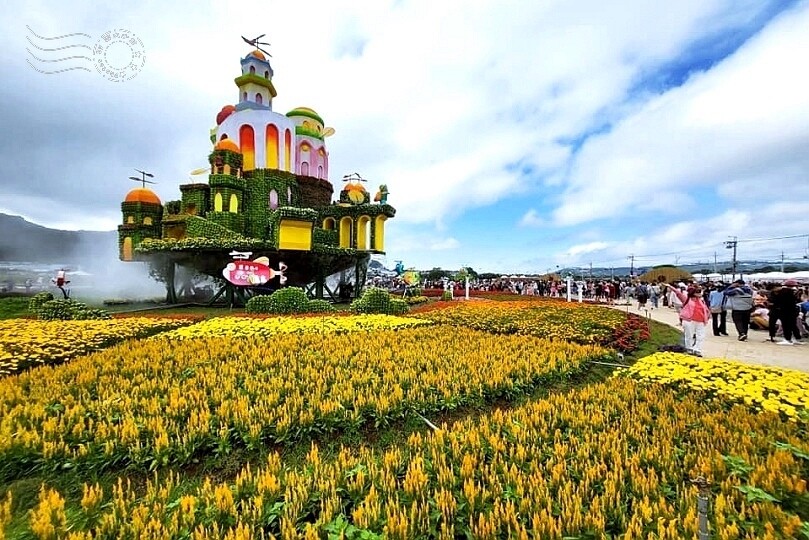 【2023臺中國際花毯節】:愛你愛山,璀璨重綻,全台最大規模,新社花海