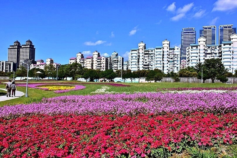 2023美堤河濱公園花海：親水灣圓仔花特色花海，怎麼拍怎麼美！