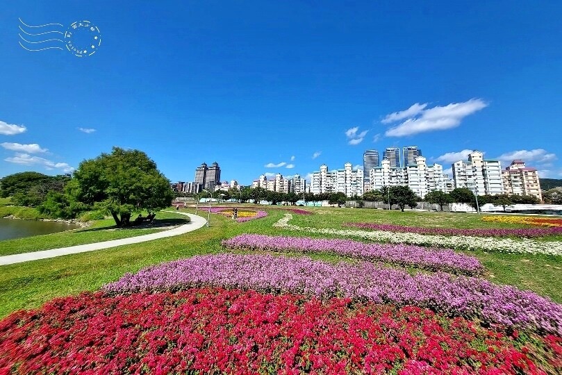 2023美堤河濱公園花海：親水灣圓仔花特色花海，怎麼拍怎麼美！