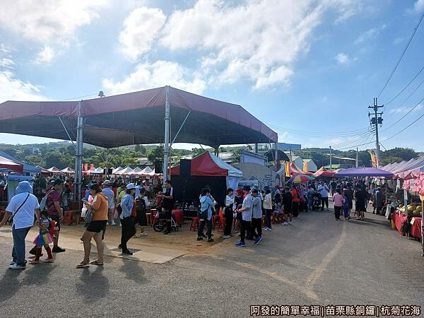 銅鑼杭菊01-杭菊芋頭節主會場.jpg
