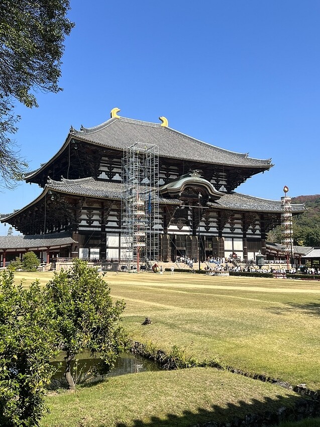 2023環遊關西5日|第3天(上)|世界文化遺產:東大寺|東