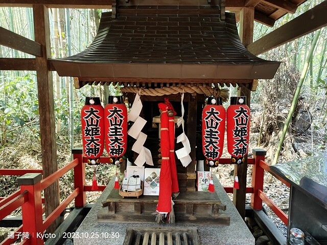 2023環遊關西5日|第2天(上)|京都嵐山竹林小徑|京都野