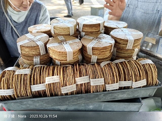 2023環遊關西5日|第3天(上)|世界文化遺產:東大寺|東