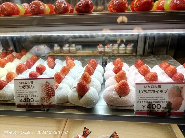 2023環遊關西5日|第3天(下)|日本大阪道頓崛|章魚八