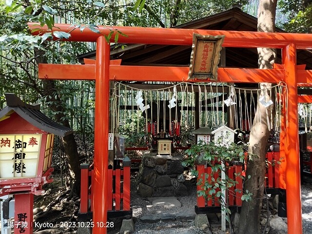 2023環遊關西5日|第2天(上)|京都嵐山竹林小徑|京都野