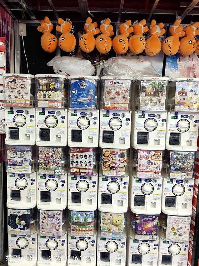 2023環遊關西5日|第3天(上)|世界文化遺產:東大寺|東