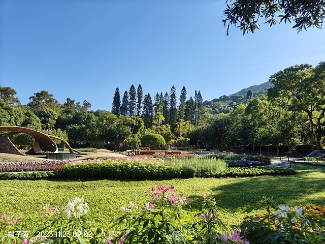 2023士林官邸菊展|菊藝生活,活動日期:2023/11/2