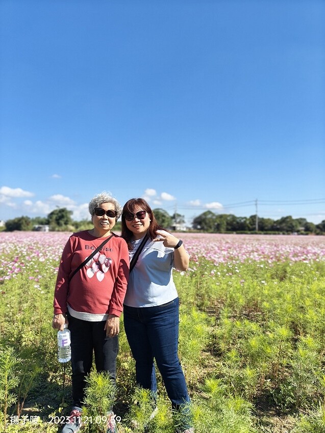 2023桃園仙草嘉年華，活動日期：2023/11/25～20