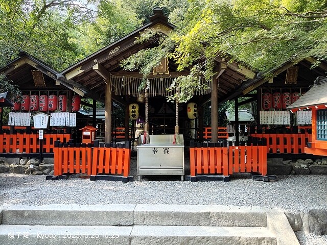 2023環遊關西5日|第2天(上)|京都嵐山竹林小徑|京都野