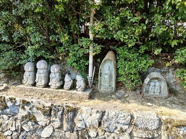 2023環遊關西5日|第2天(上)|京都嵐山竹林小徑|京都野