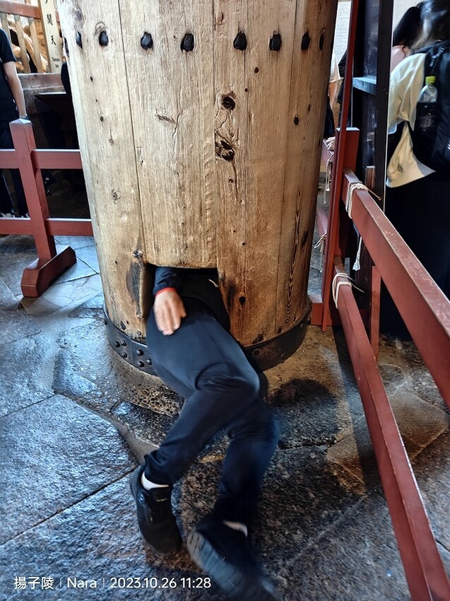 2023環遊關西5日|第3天(上)|世界文化遺產:東大寺|東