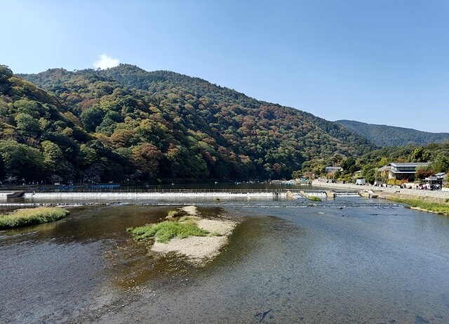 2023環遊關西5日|第2天(上)|京都嵐山竹林小徑|京都野