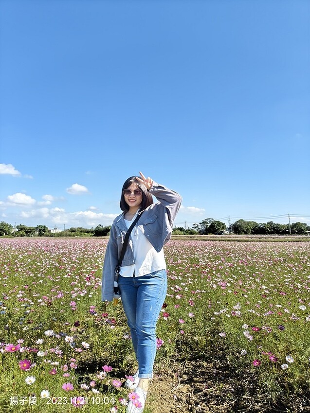 2023桃園仙草嘉年華，活動日期：2023/11/25～20