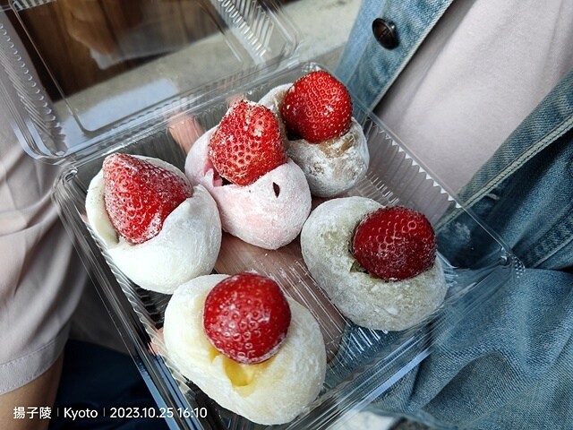 2023環遊關西5日|第2天(下)|世界文化遺產:清水寺|清