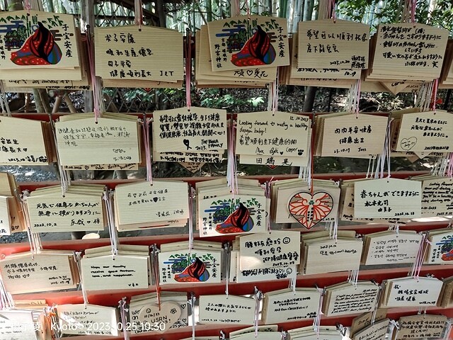 2023環遊關西5日|第2天(上)|京都嵐山竹林小徑|京都野