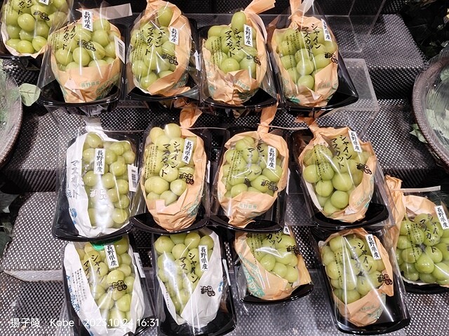 2023環遊關西5日|第1天桃園機場→關西空港|北野異人館街