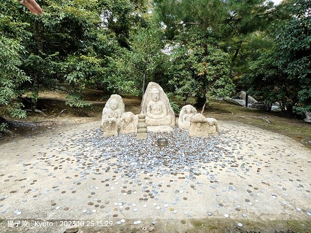 2023環遊關西5日|第2天(上)|京都嵐山竹林小徑|京都野