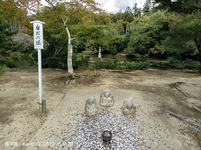 2023環遊關西5日|第2天(上)|京都嵐山竹林小徑|京都野