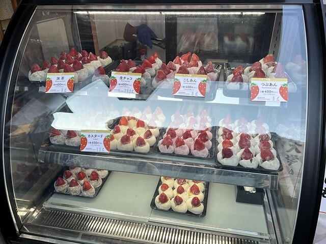 2023環遊關西5日|第2天(下)|世界文化遺產:清水寺|清