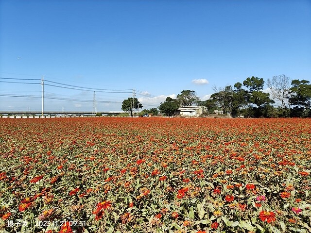 2023桃園仙草嘉年華，活動日期：2023/11/25～20