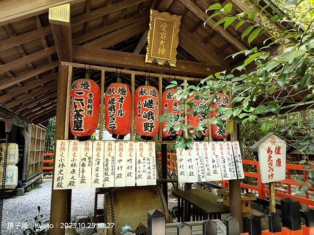 2023環遊關西5日|第2天(上)|京都嵐山竹林小徑|京都野