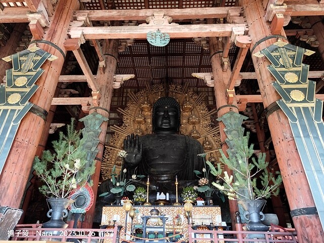 2023環遊關西5日|第3天(上)|世界文化遺產:東大寺|東