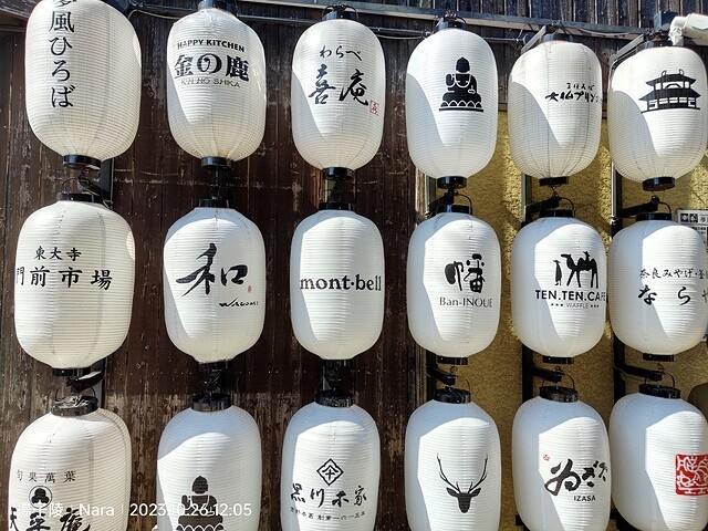 2023環遊關西5日|第3天(上)|世界文化遺產:東大寺|東