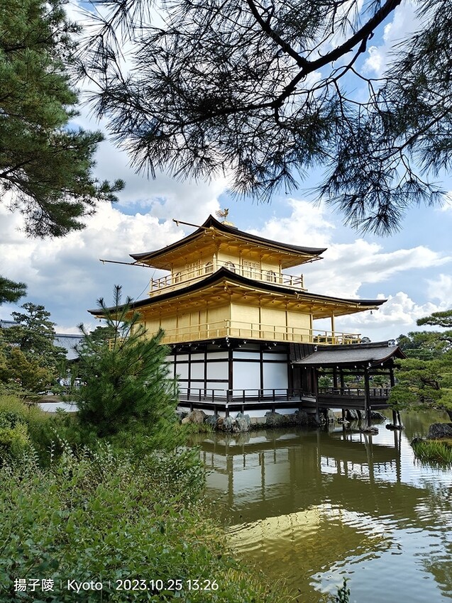 2023環遊關西5日|第2天(上)|京都嵐山竹林小徑|京都野