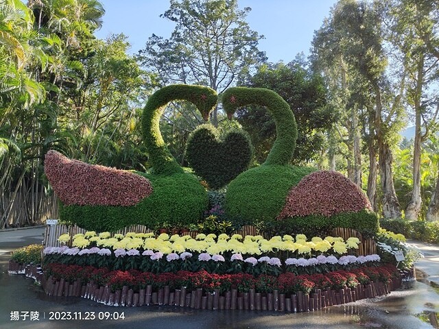 2023士林官邸菊展|菊藝生活,活動日期:2023/11/2